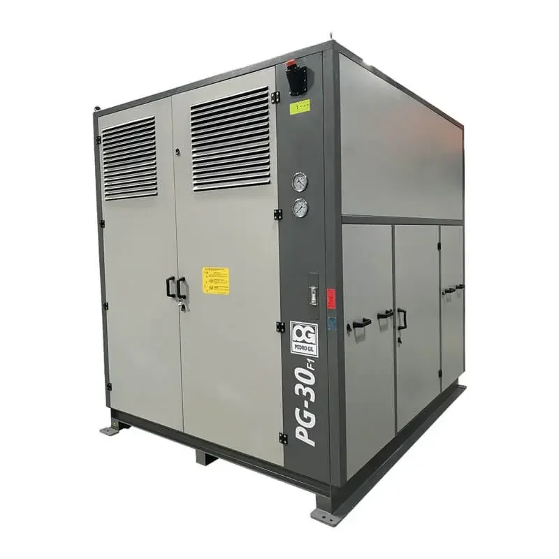 Grupo soplante para presión PG30-F1 - Imagen 2