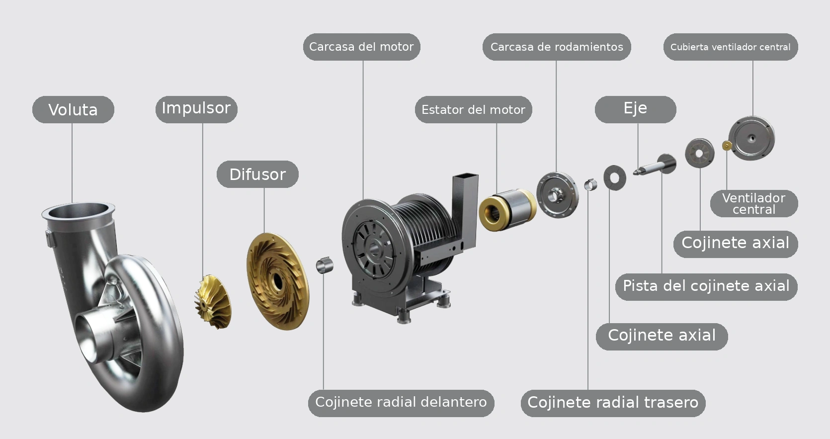 Despiece del Turbo Soplador TNE
